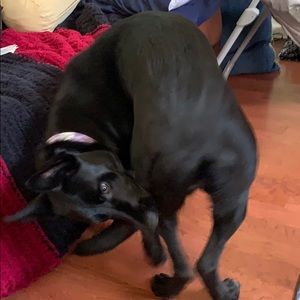 Meet your Posher, Brian